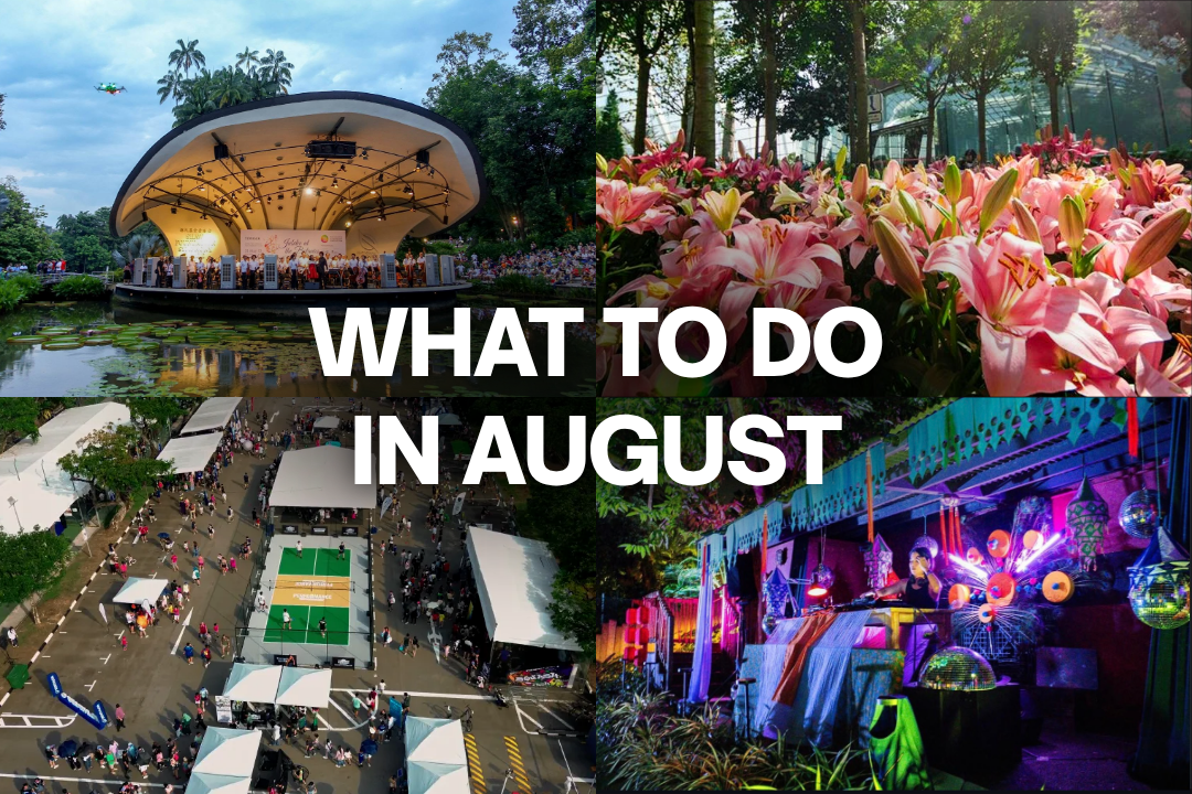 What to Do in Singapore This August 2026